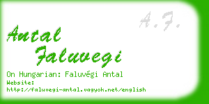 antal faluvegi business card